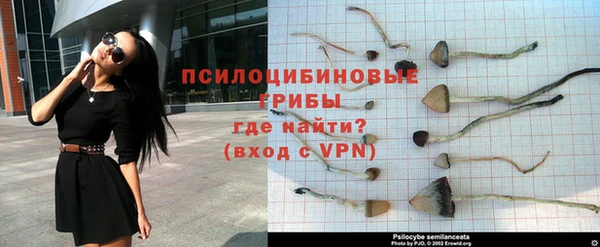 шишки Гатчина