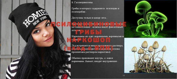 крисы Абдулино