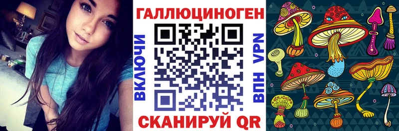 Псилоцибиновые грибы ЛСД  Енисейск 