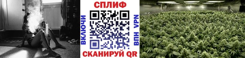 Канабис SATIVA & INDICA  где купить наркоту  Енисейск 